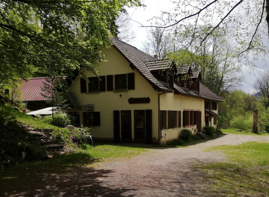 Mittig im Bild steht ein Haus. Das Haus ist zwei stöckig mit einem Giebeldach. Das Haus ist Gelb und hat Braune Fenster, Türen und Dach.Ein Teil außen herum ist waldig. man sieht aber auch eine freie Fläche vorm Haus. In diesem Gruppenhaus werden wir wohnen. 